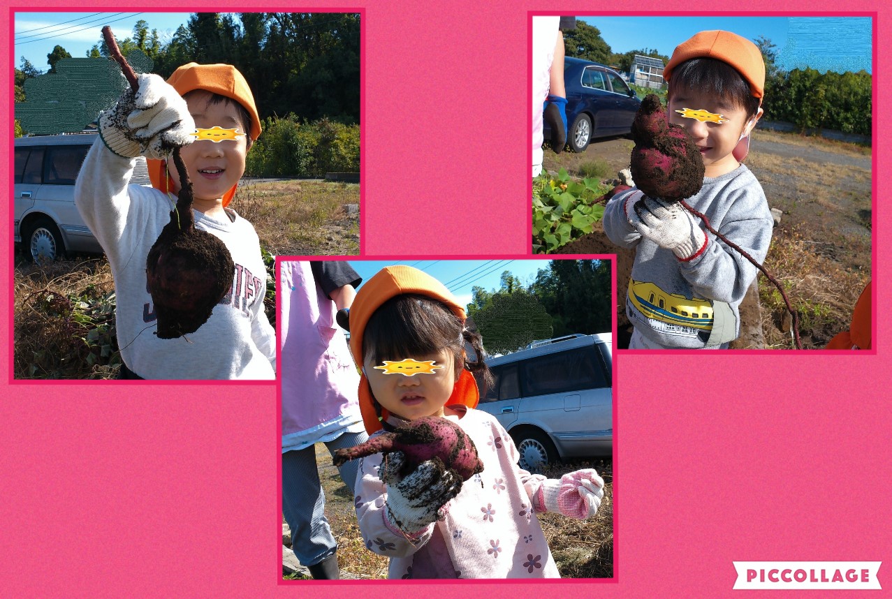 Collage 2022-10-28 11_51_25