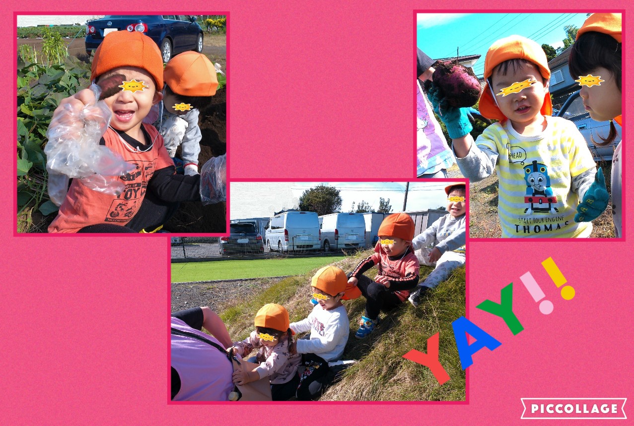 Collage 2022-10-28 11_54_52